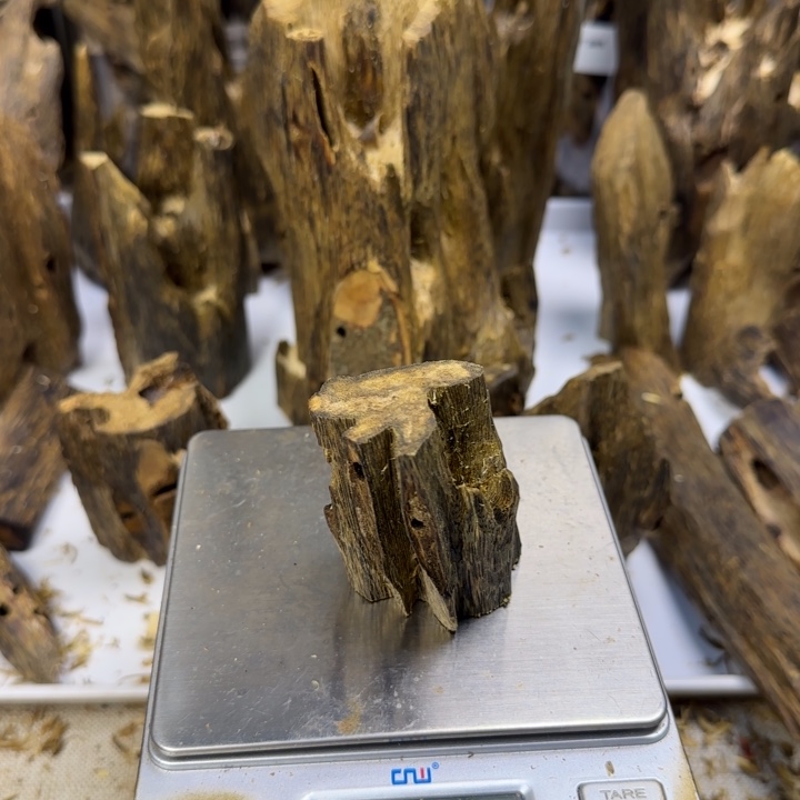 飞***朵沉香金丝油虫漏香28克