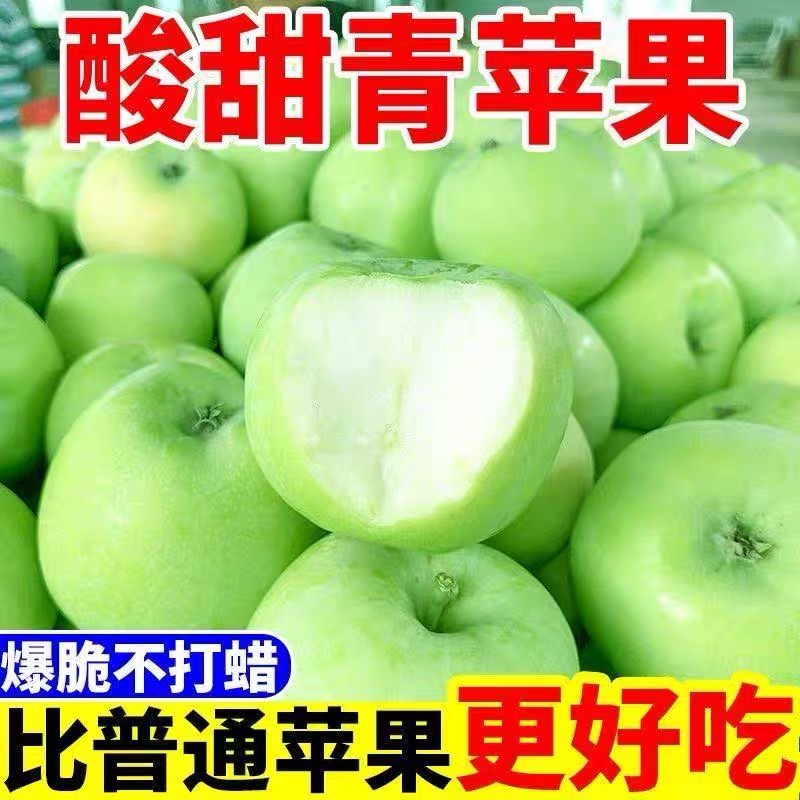 4斤 密云老树伏苹果青苹果 儿时味道  酸甜可口北京市