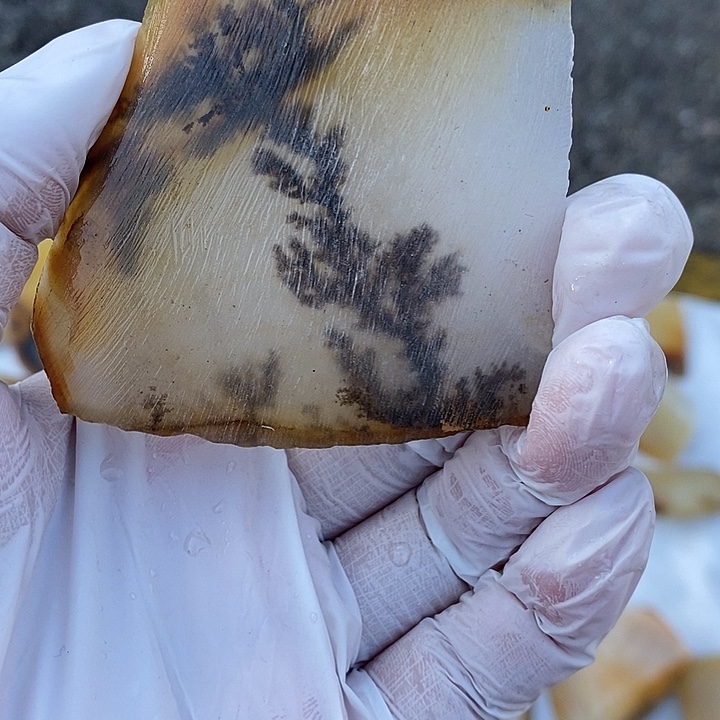 石英质玉（黄龙玉）未镶嵌颈饰