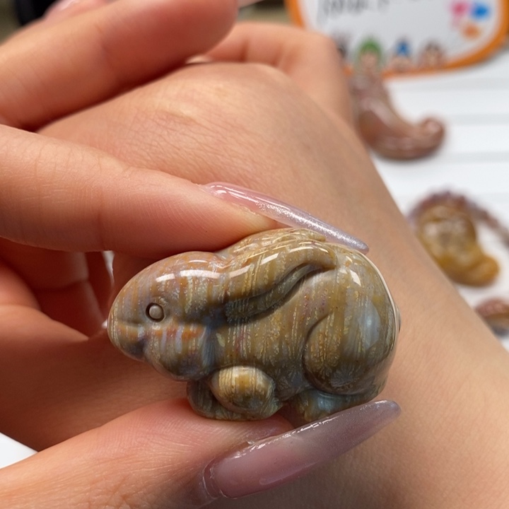 硅化玉颈饰未镶嵌前途似锦