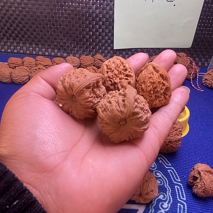 b***2南疆石福利哈哈哈哈