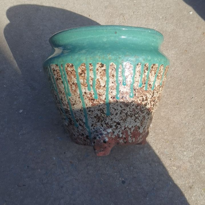 红陶20/20瑕疵一个