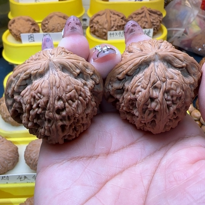 尛*用完核桃丹僵尸，文玩核桃，南僵尸，文玩核桃南僵尸