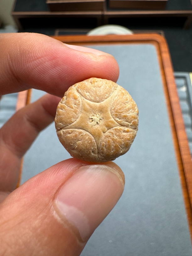 19+五星上将菩提凤眼手串三通佛头，非质量问题开孔不退