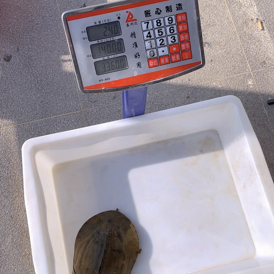 中国大陆4756747475574