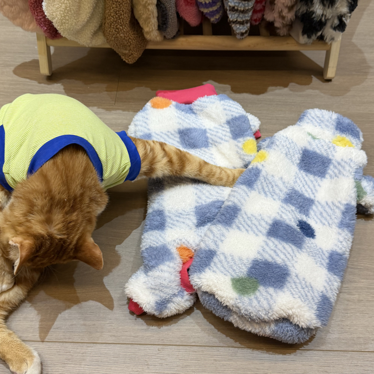 德文猫衣服冬季厚款双面毛绒弹力柔软保暖四脚护肚可爱无毛猫衣服