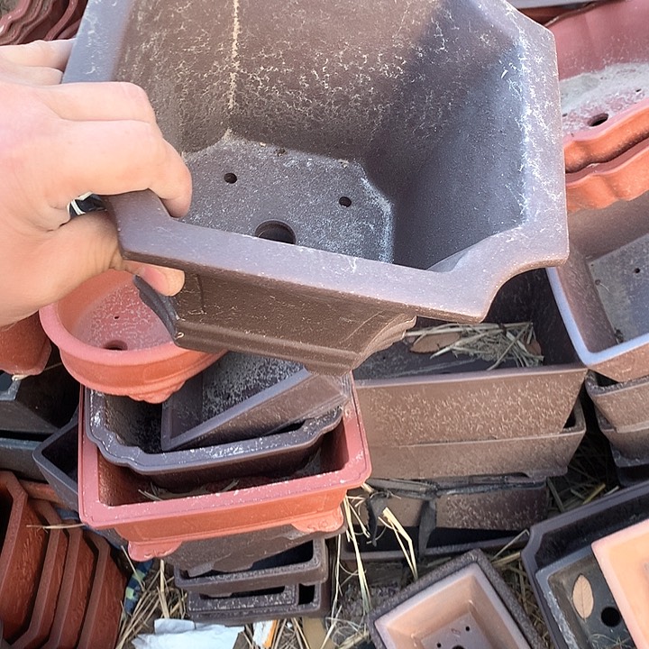 紫砂哈哈真的是太喜欢啦