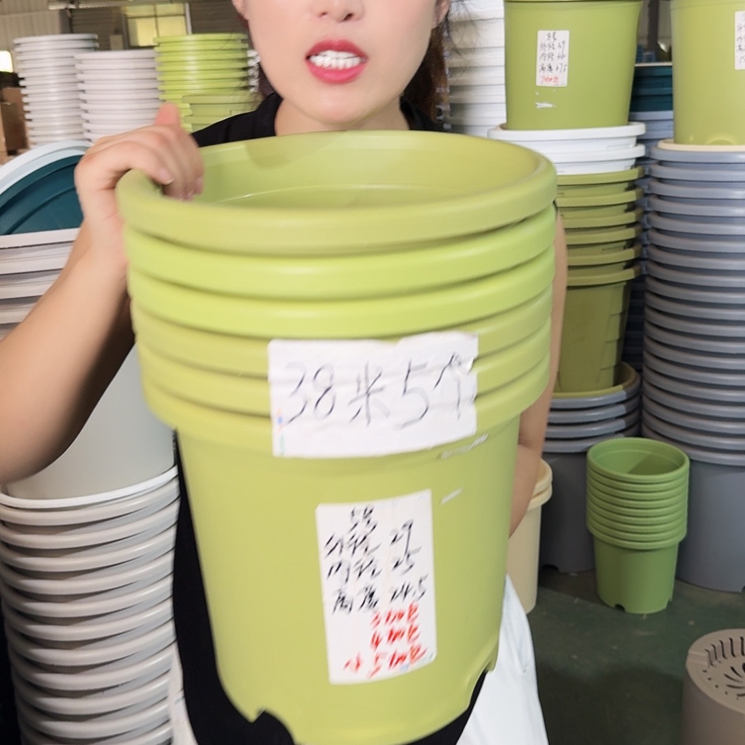 微瑕5#无拖果绿6个