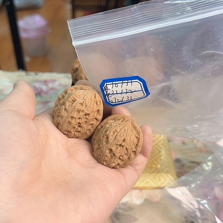 文玩核桃把件非嫁接小狮子头