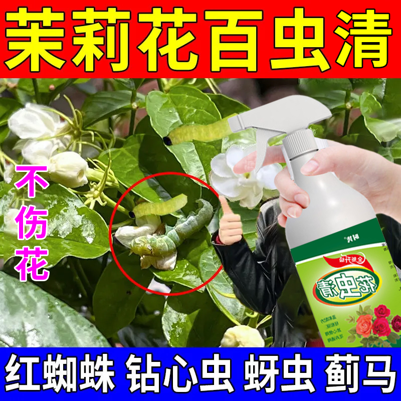 茉莉花除虫喷雾小飞虫去除介壳虫蚧壳虫白粉虱红蜘蛛钻心虫营养液