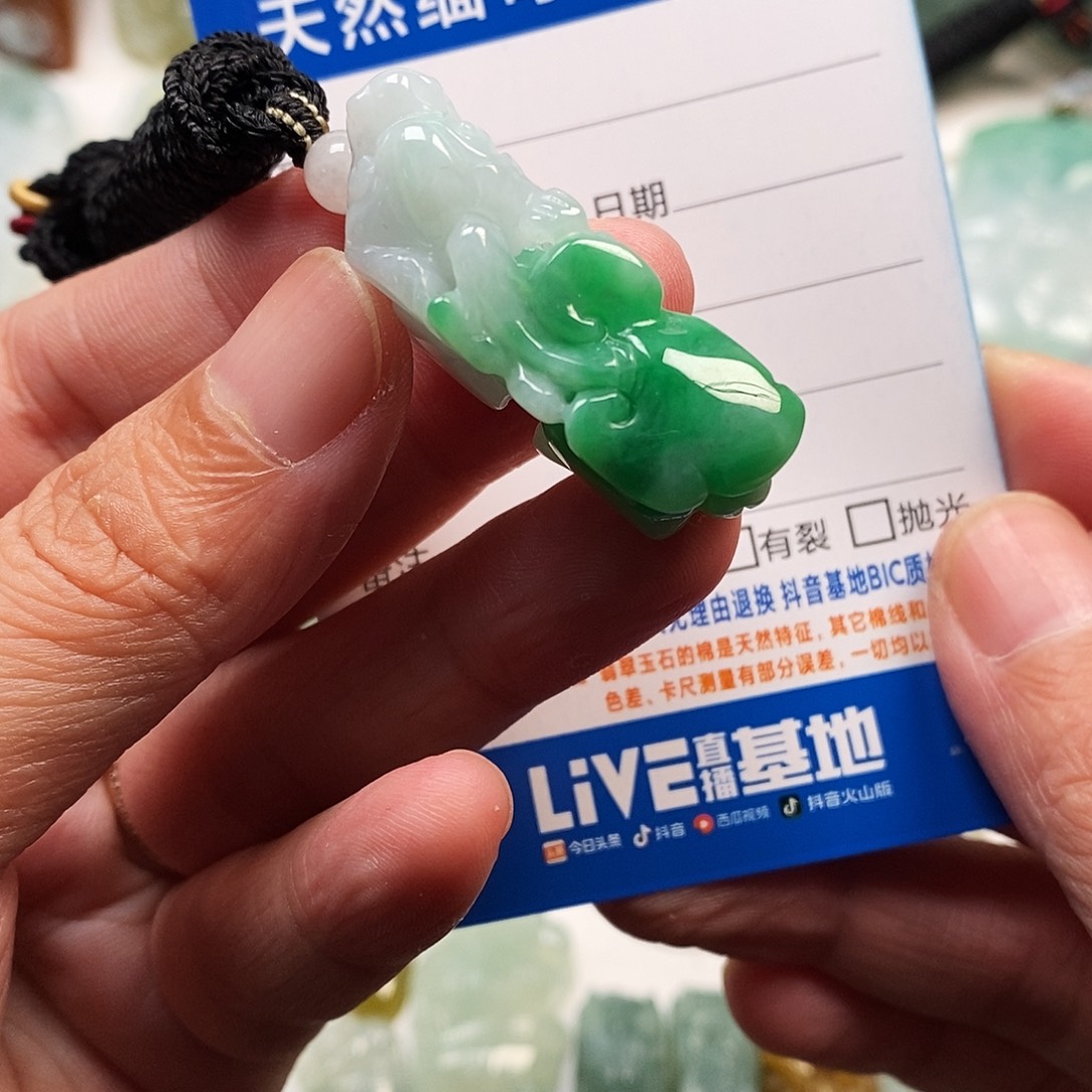 翡翠未镶嵌颈饰貔貅