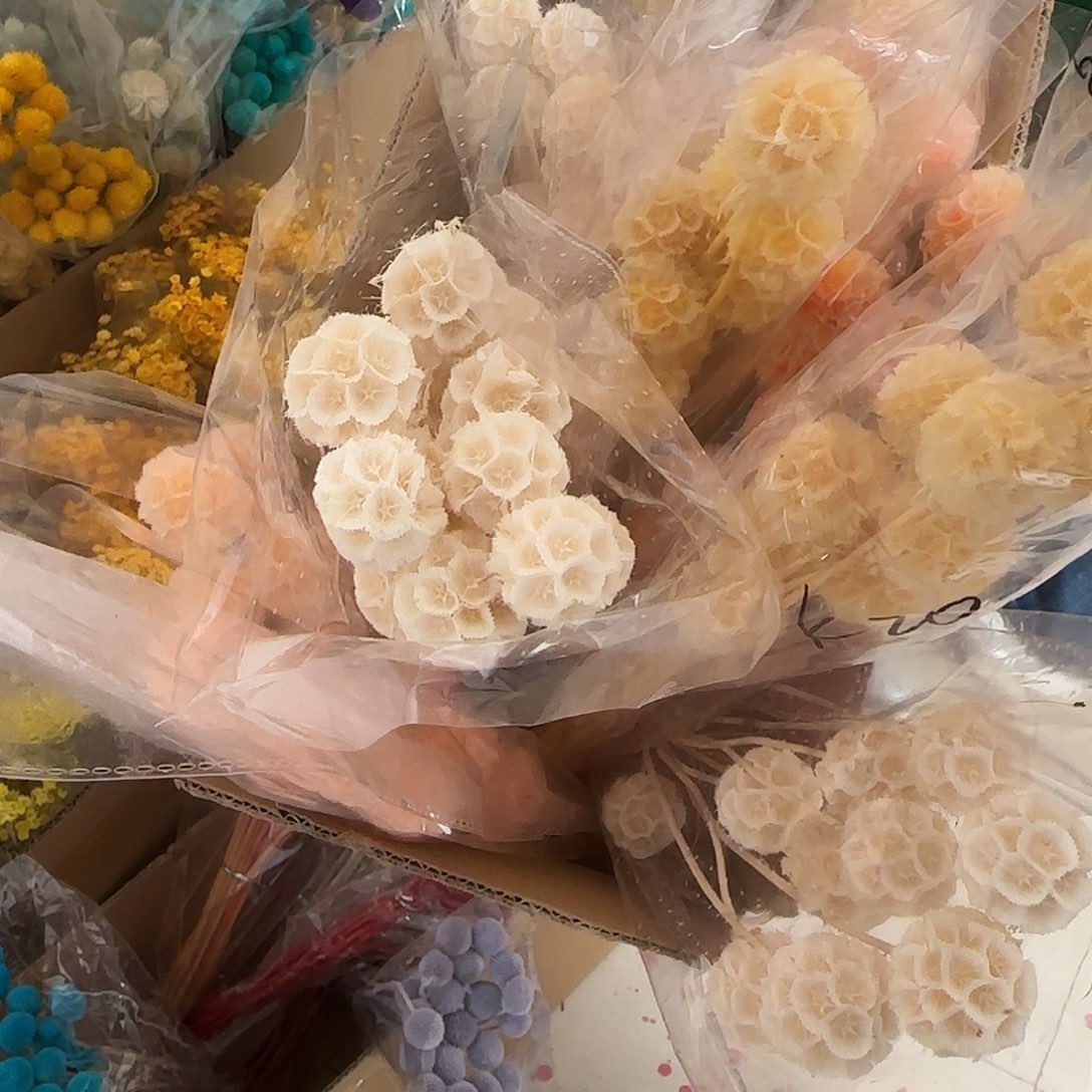 黛***rH90号13把风车果浅色