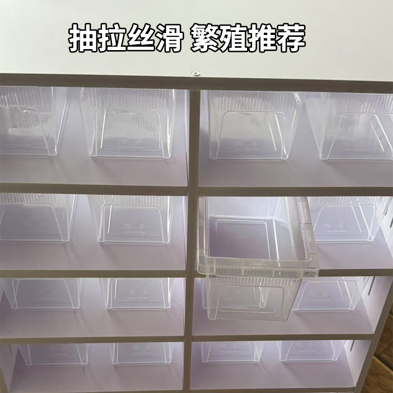 掌上明珠R5爬宠柜睫角幼苗饲养柜pvc雪弗板宠物收纳柜透风繁殖柜