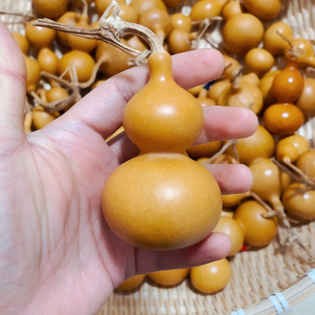 北***魚葫芦笙和一根香蕉在同一种温度层里