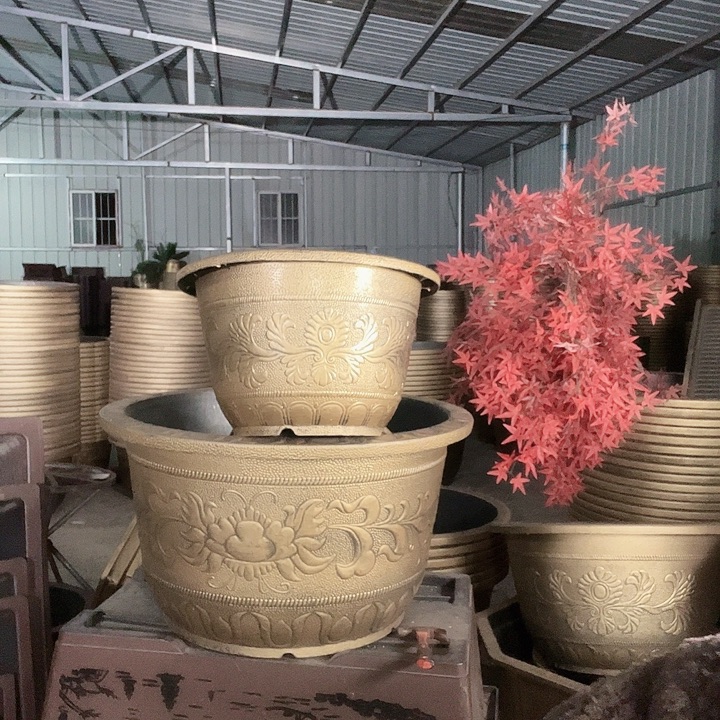 条子90两个有孔金色的