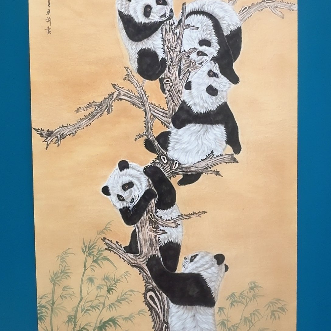 国画密密麻麻密密麻麻苗苗