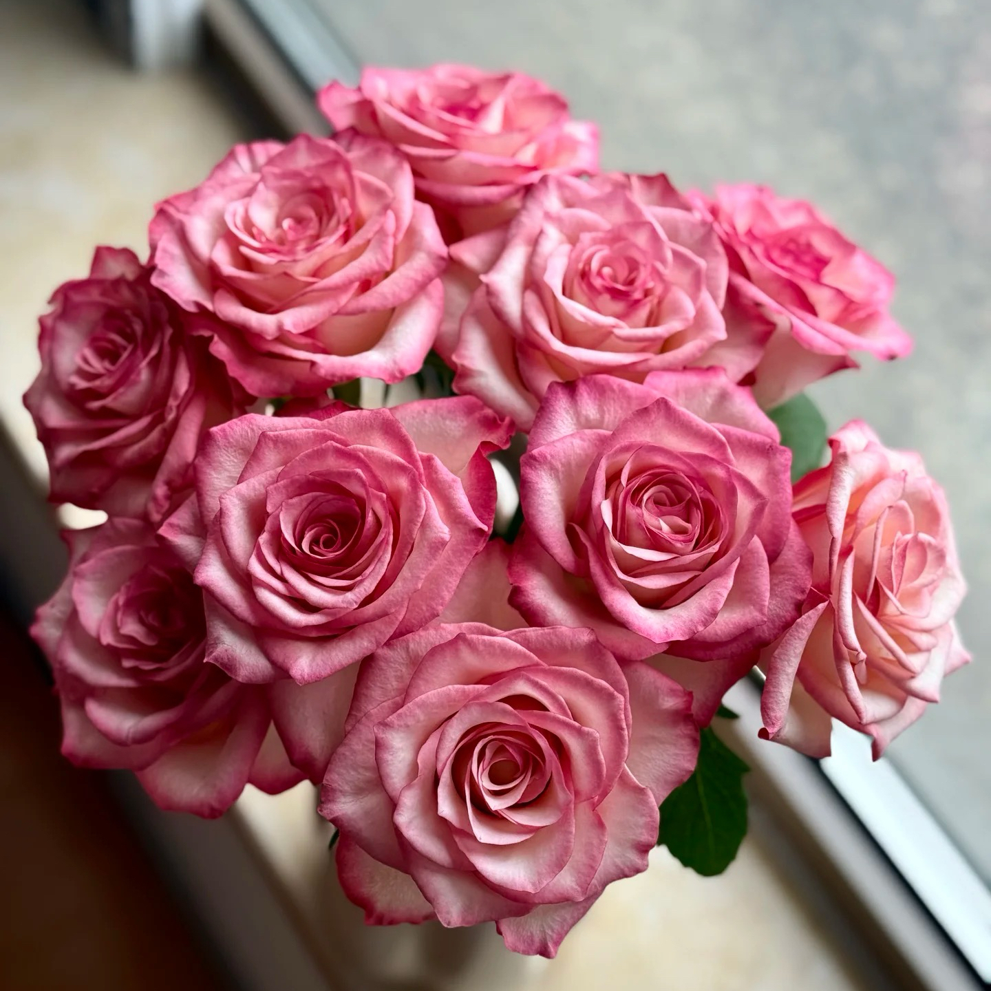 花花 美杜莎玫瑰18支+2支防损 一单包邮云南直发