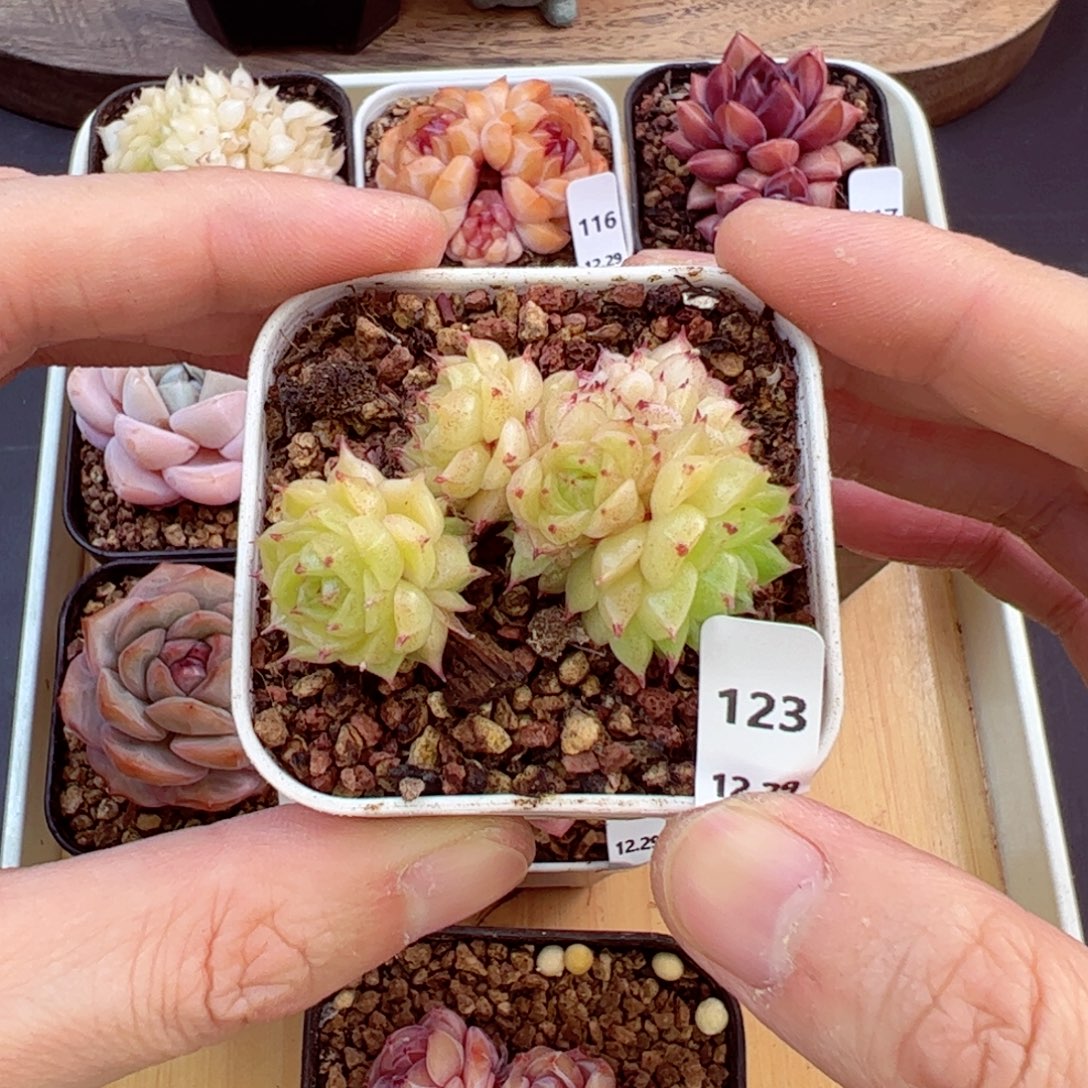 好好看123、哈哈哈哈