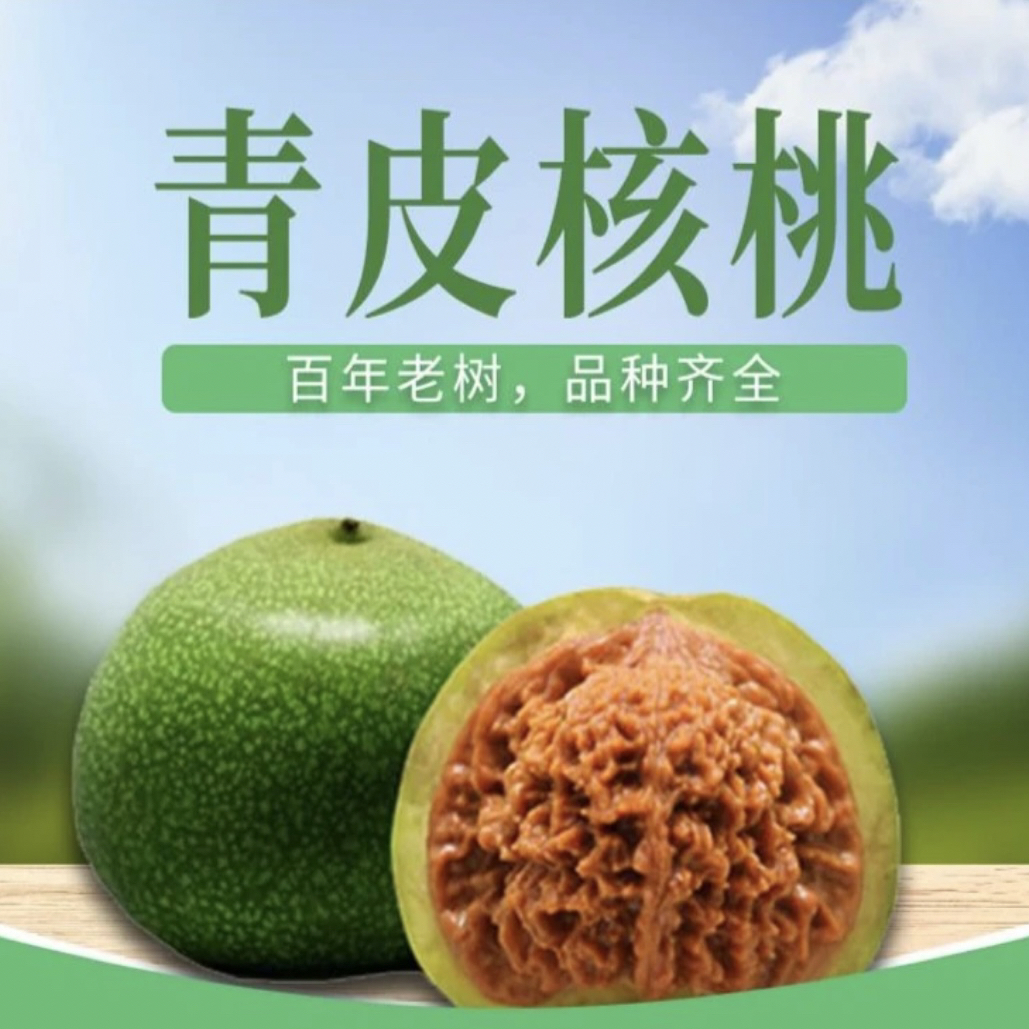 蛤蟆头青皮文玩核桃