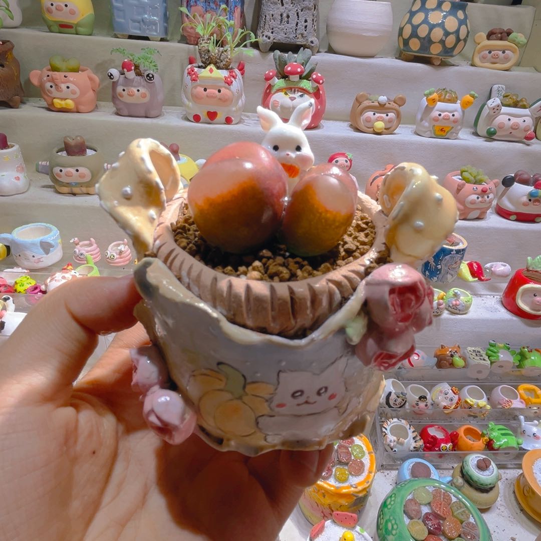 L****.L宝专属折扣链接拍拍