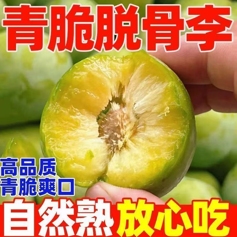 正宗四川脱骨李子当季新鲜青脆李子孕妇水果脆红李空心李