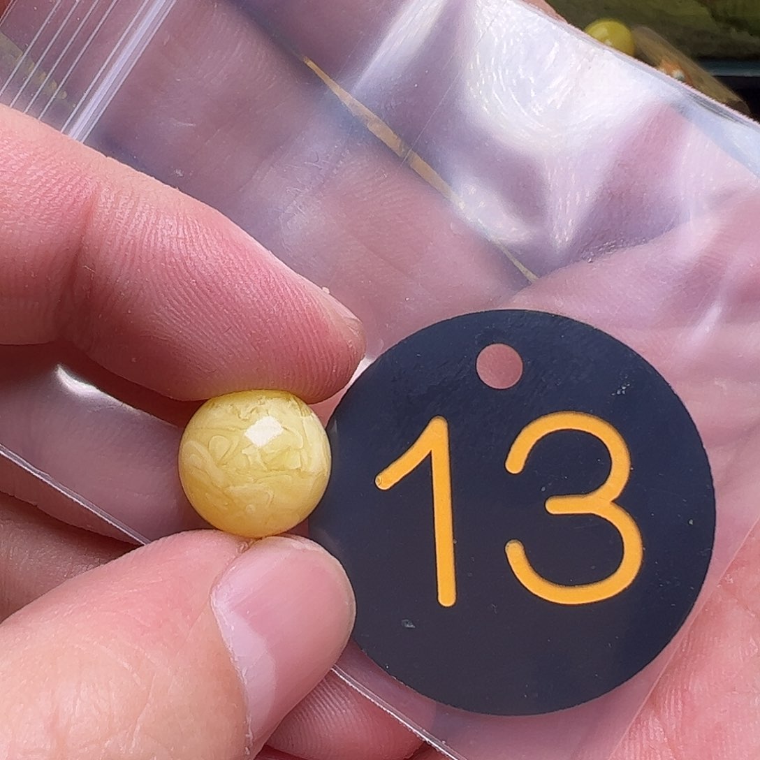 蜜蜡未镶嵌珠宝奇石你****潘13mm