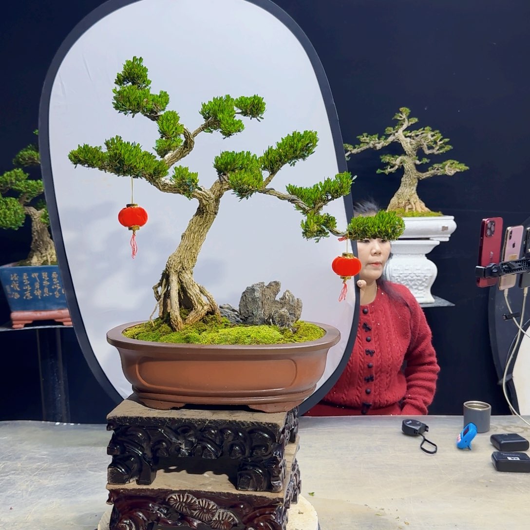 高端盆景艺术作品