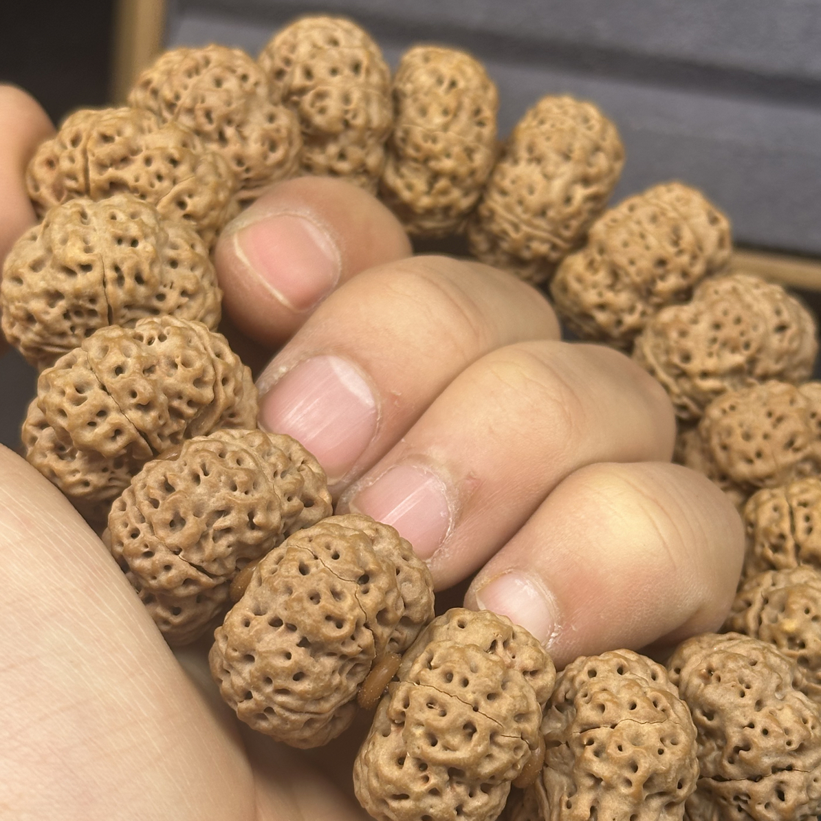 新品爆肉飞碟夹板终结者