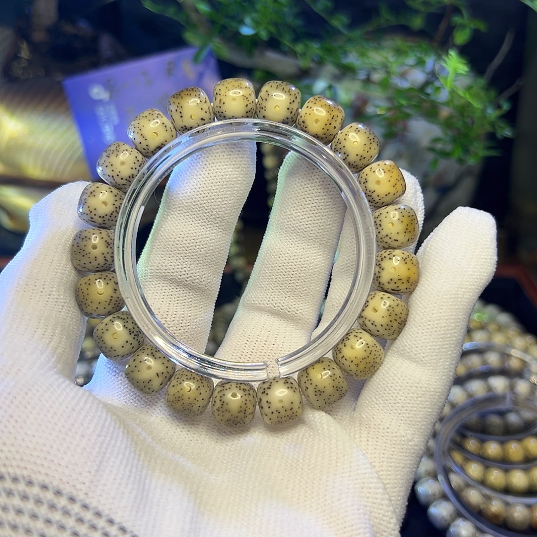 手串星月菩提海南原生态