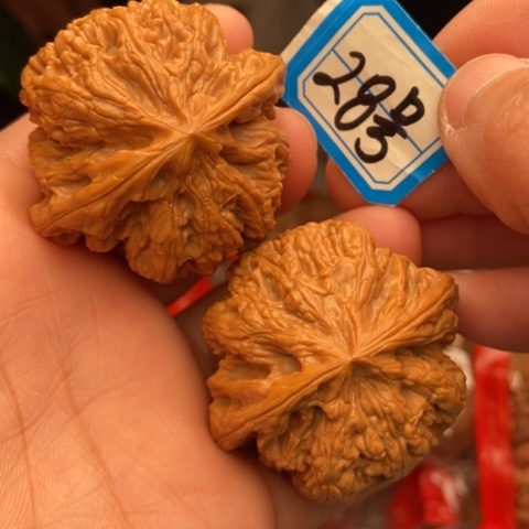 平谷大粗筋45精修平谷