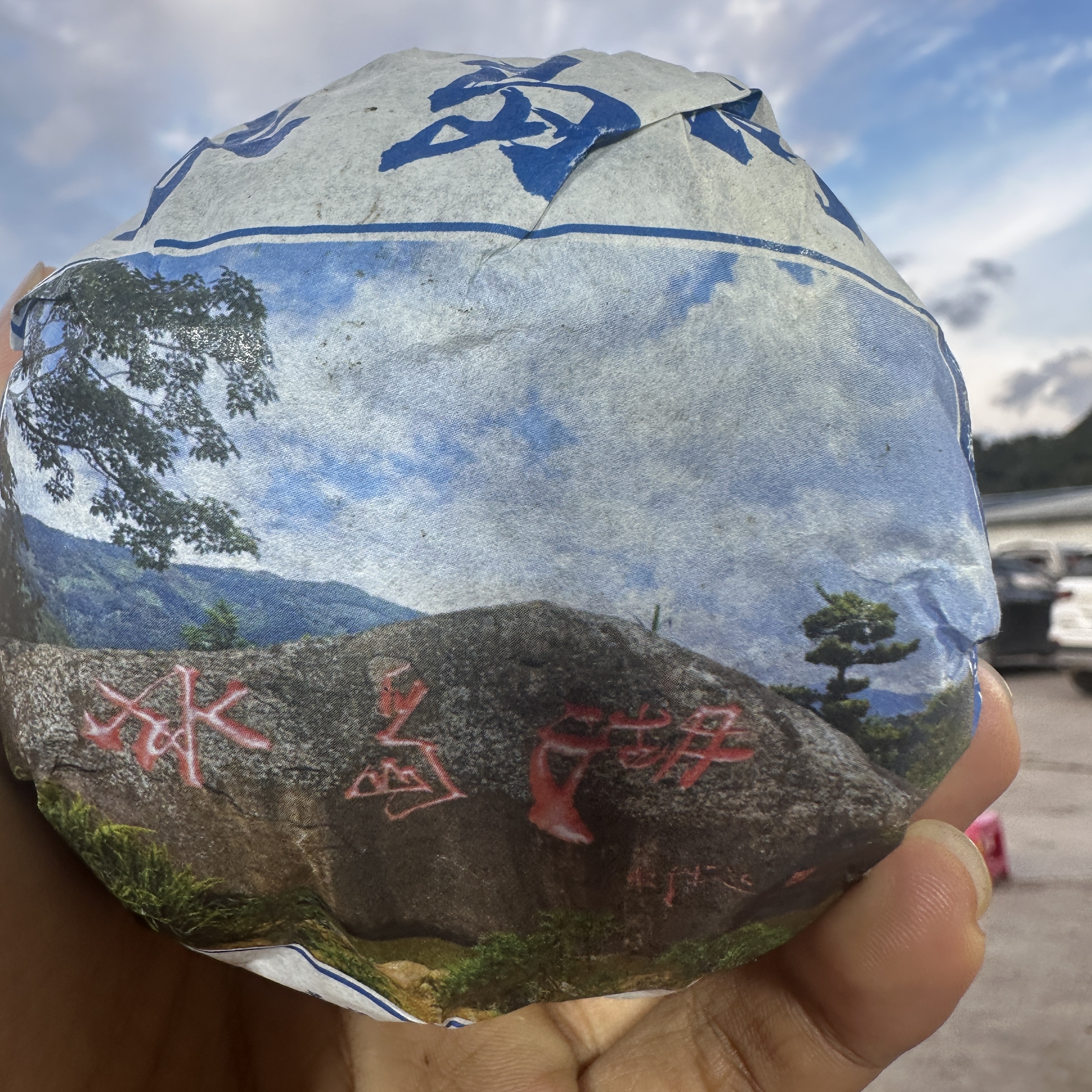 【3号】2025年冰岛湖普洱生茶沱200克*1沱-7.19