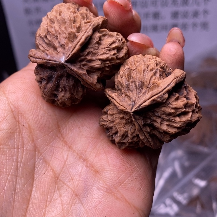 核桃云南野生铁核桃158号37mm