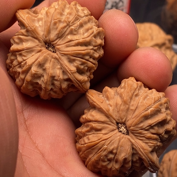 文玩核桃把件血麒麟38