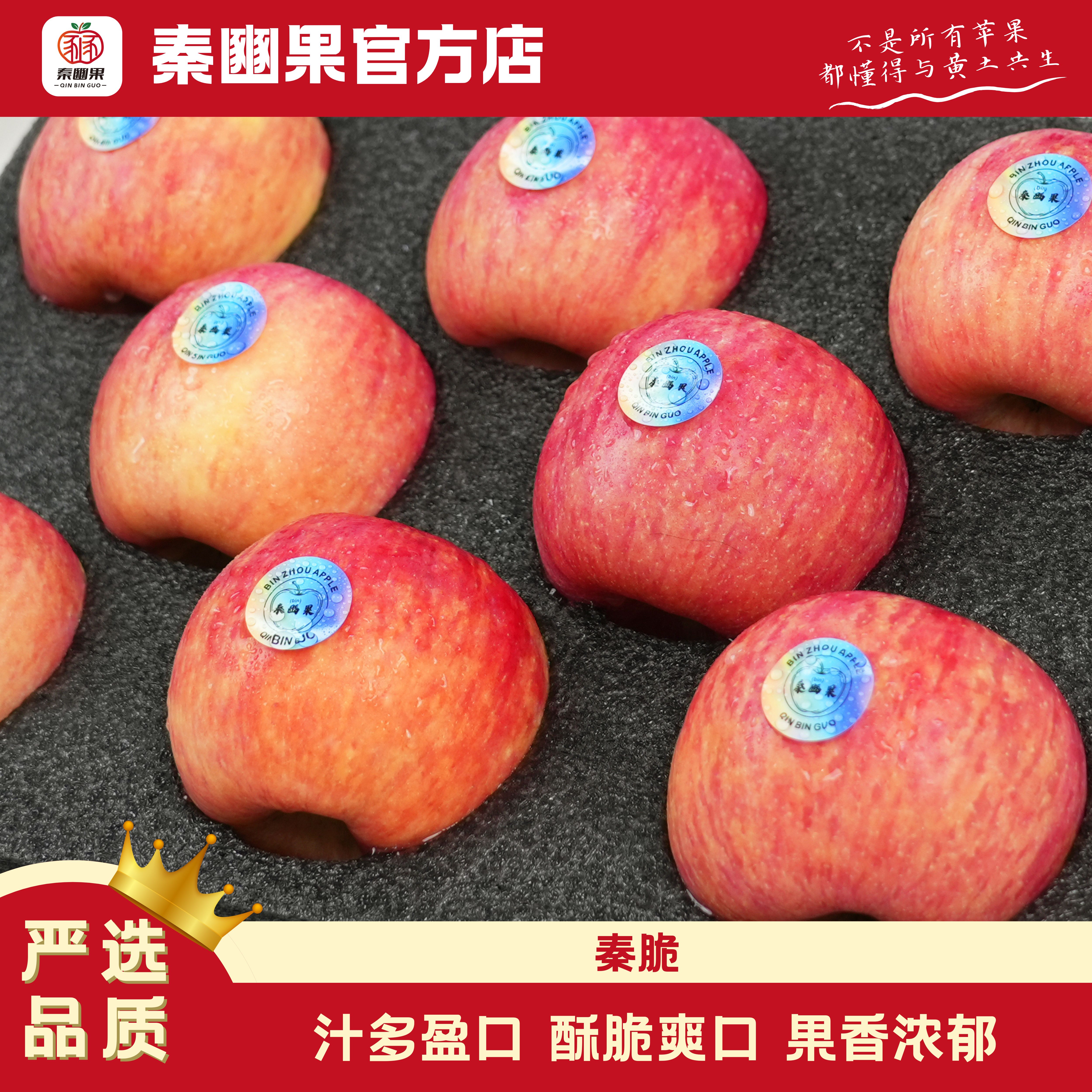 【顺丰发货 彩箱装 秦脆苹果】陕西当季秦脆苹果现摘现发脆甜多汁