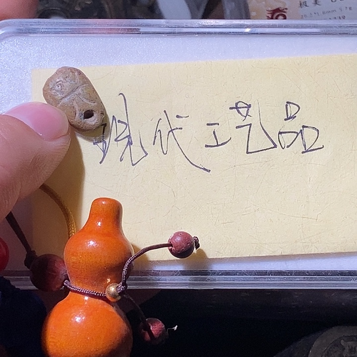 蚁1111111111111111111111111