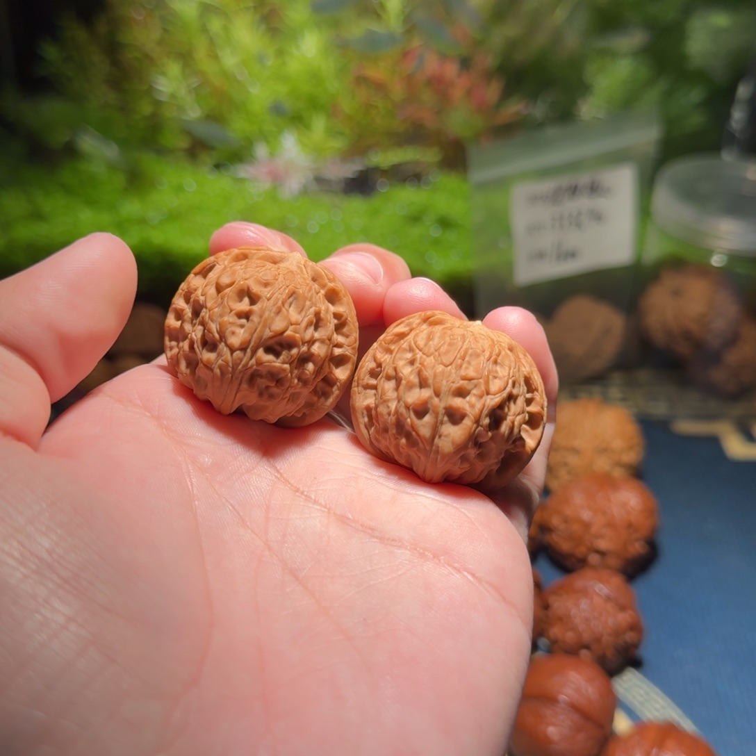 577号35乾隆磨文玩核桃