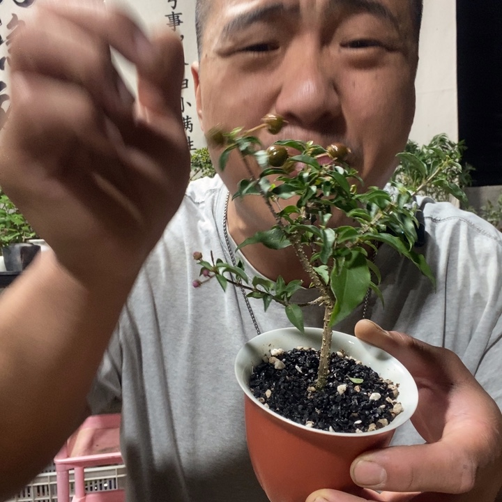 无花朵退款拉黑拉黑138