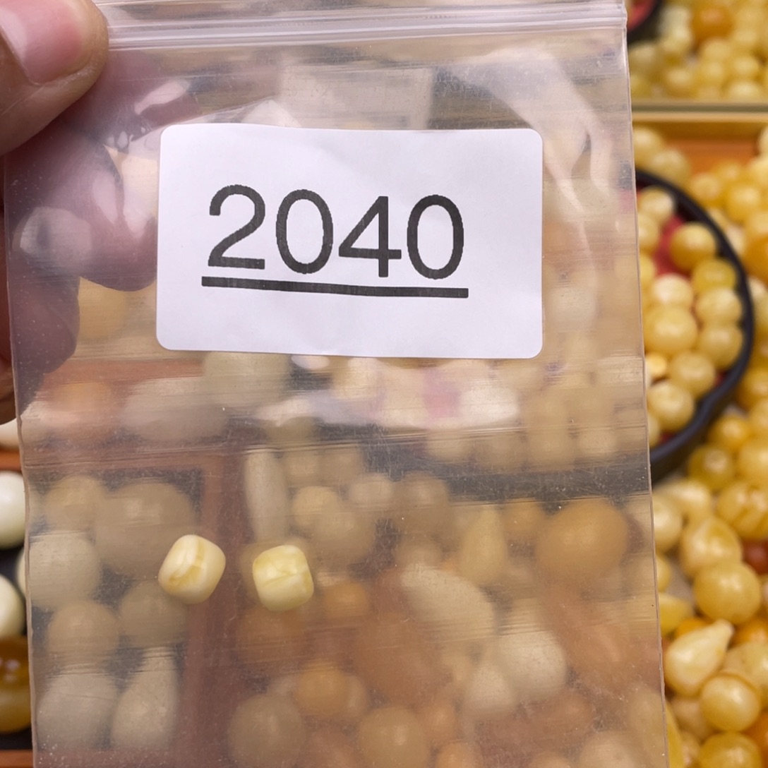 琥珀珠宝奇石未镶嵌阳**