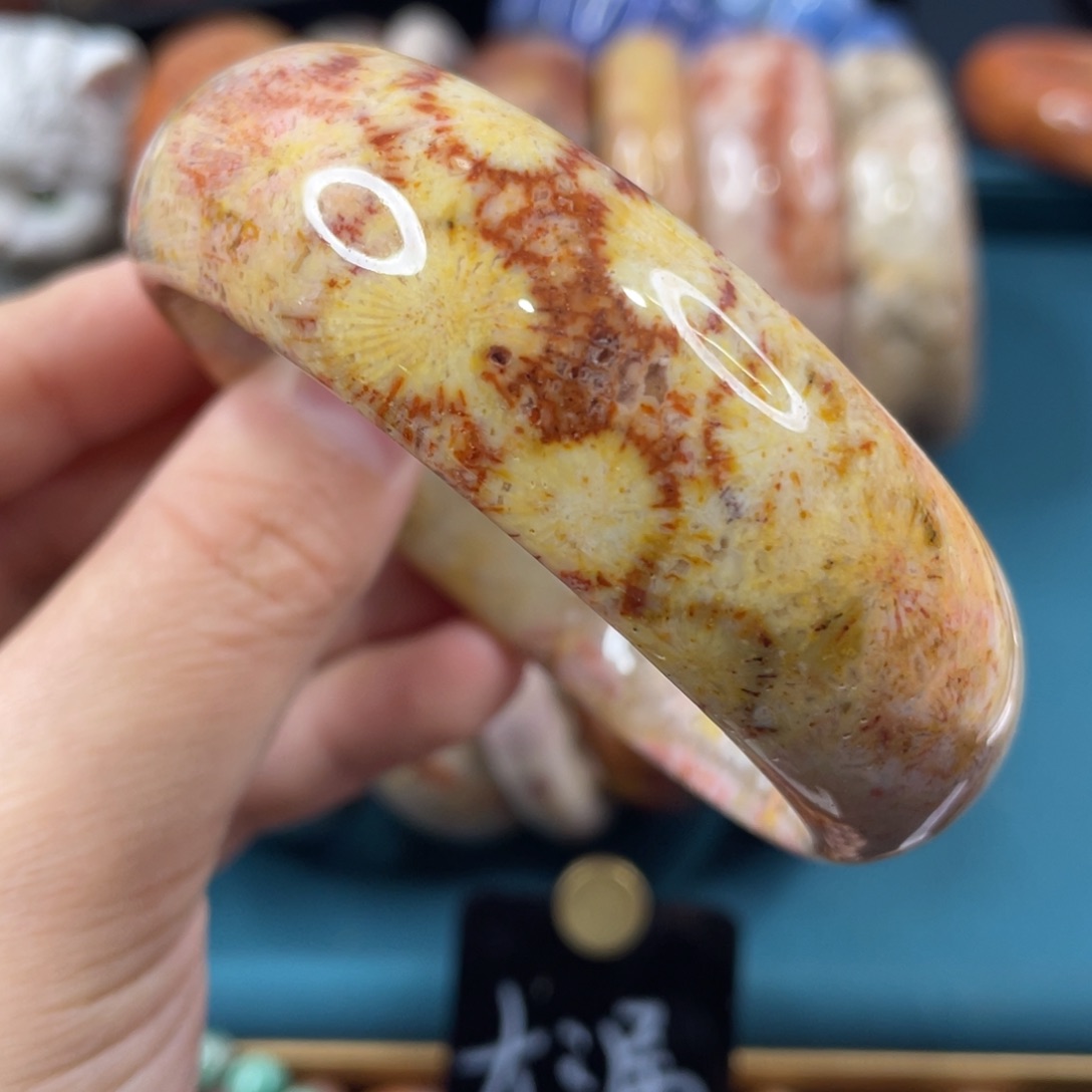 未镶嵌手镯硅化玉