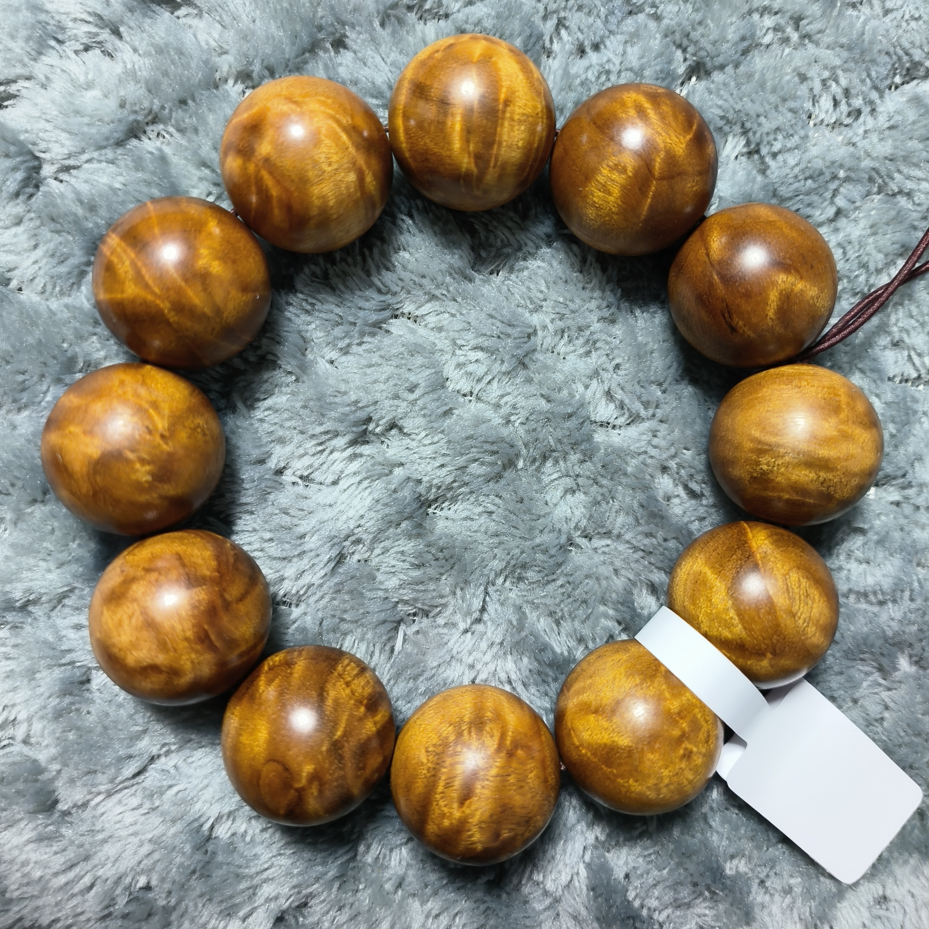 2.0 枯木碎花龙小叶桢楠