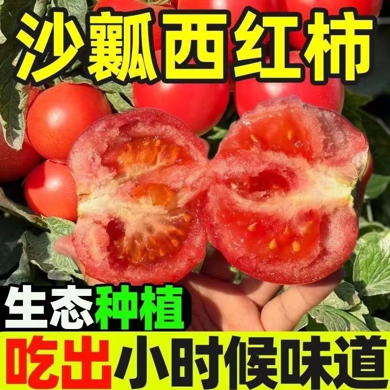 【枝遇】老品种小时候的味道沙瓤水果口感西红柿新鲜番茄自然成熟 图片 4