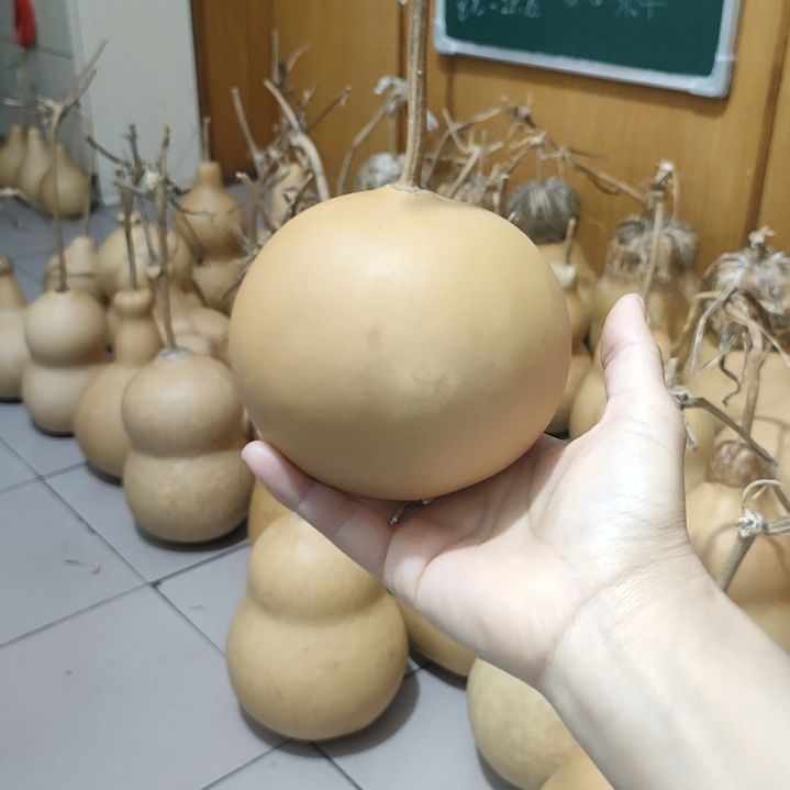 佳***崽藤葫芦摆件，家居摆件