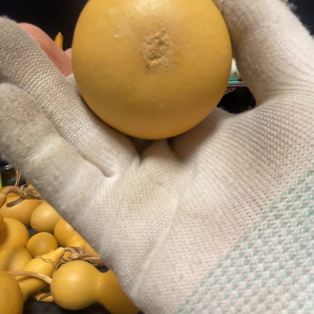 野***牛66666666666666666