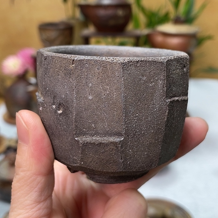 中居靖的主人杯好