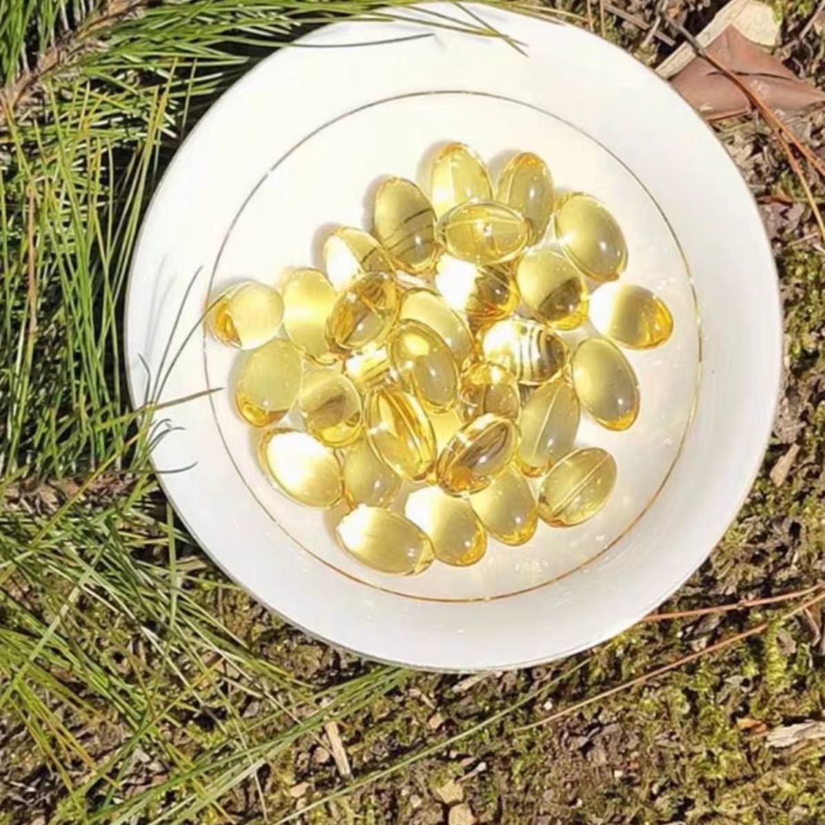 高山优选优质松针油 王总专属