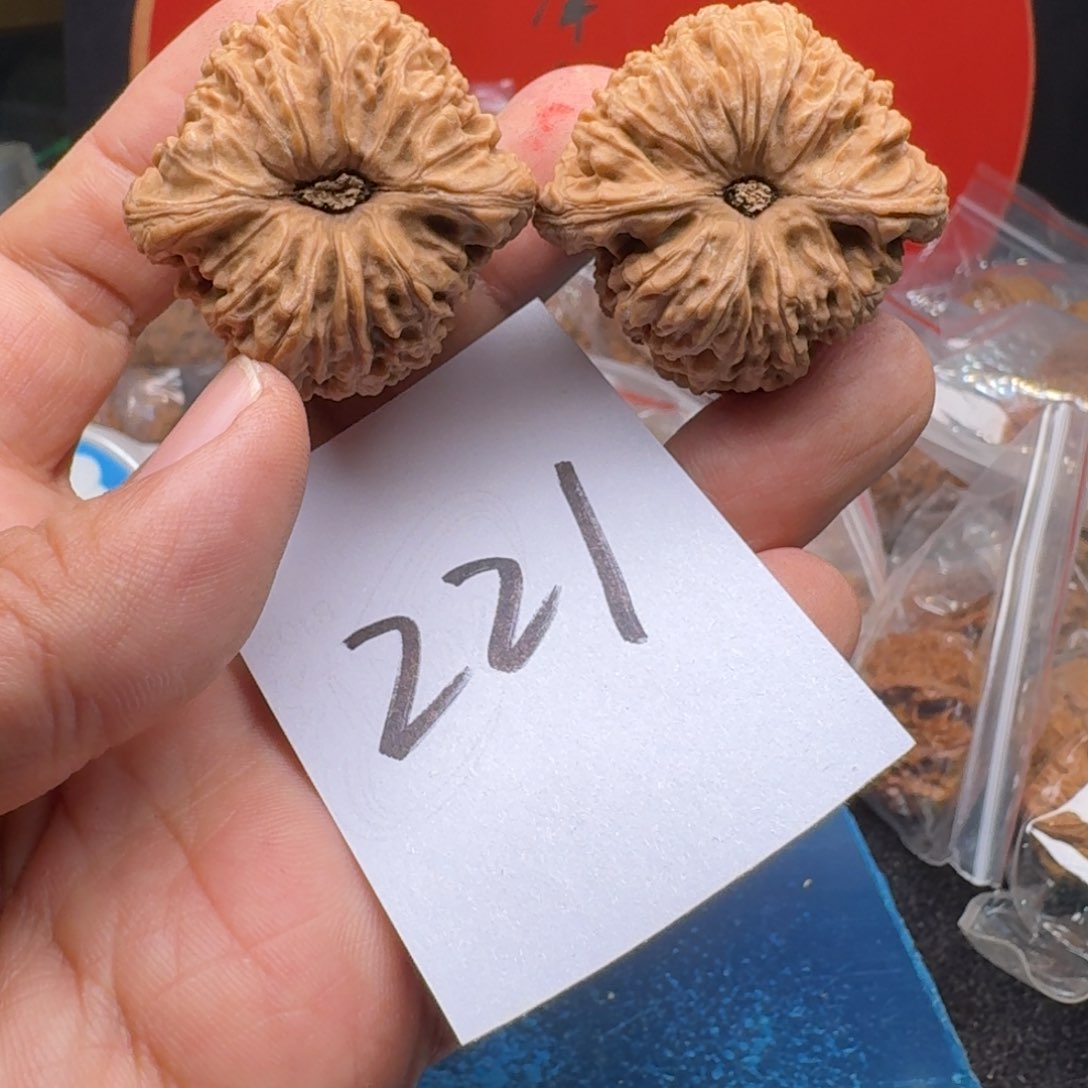 文玩核桃把件40大凹底南将石