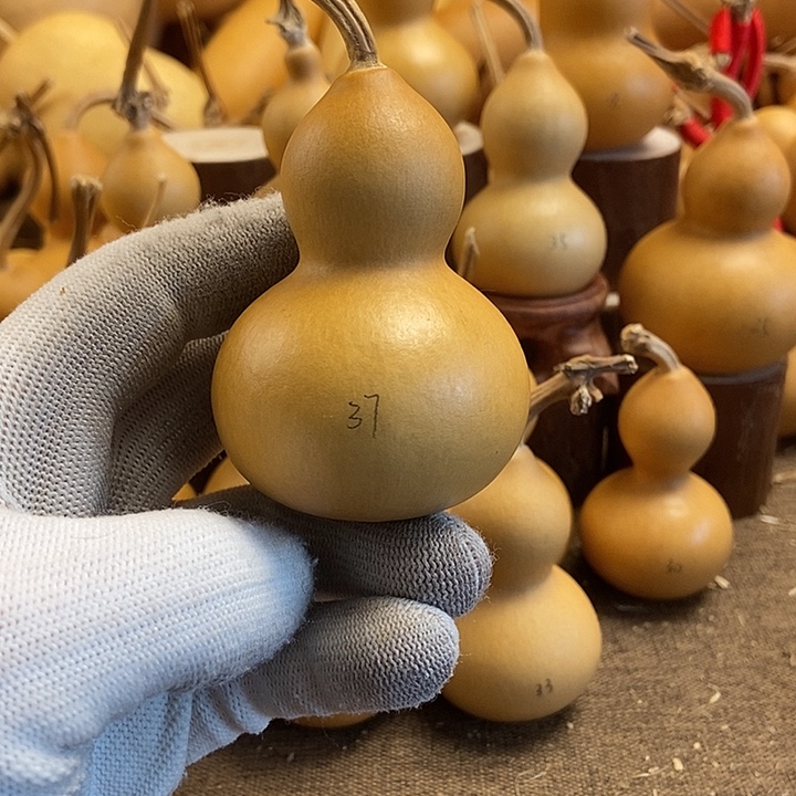 文玩葫芦 完美主义者 慎拍37