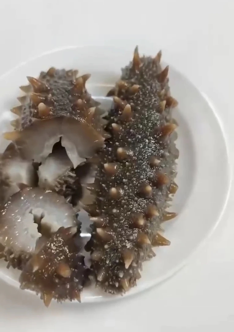 福建连江发货  海参两斤 一斤斤8-11粒（推荐老人小孩吃）