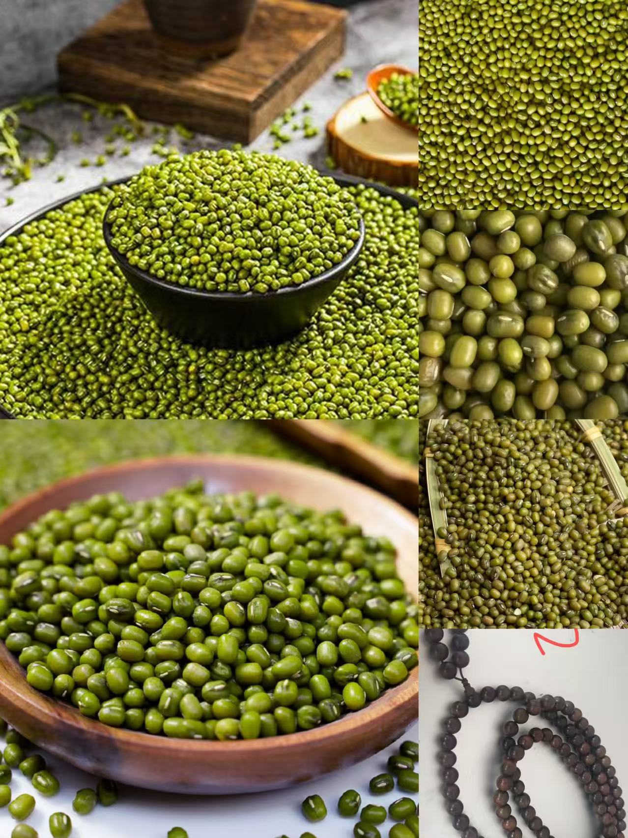 《42》龙腾专属土特产豆1.0cmx108-君0801