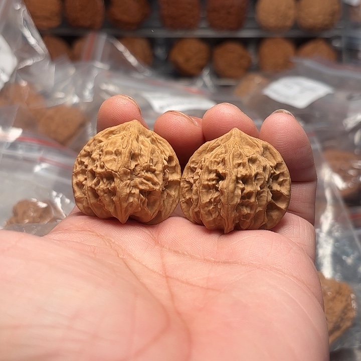 文玩核桃莲花马蹄35-532